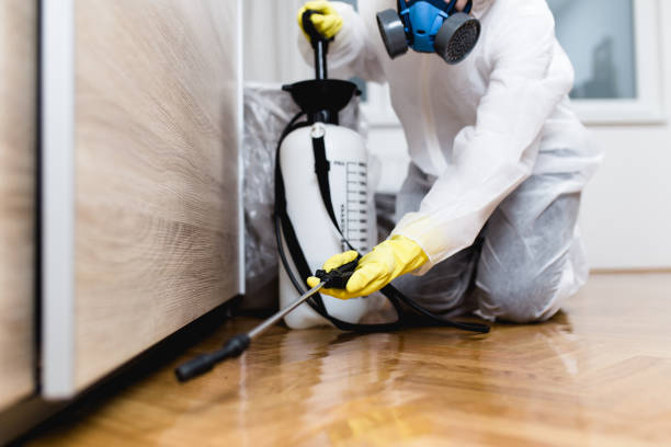 Best Pest Inspection Near Me  in Moyie Springs, ID