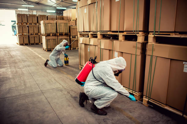 Wasp Removal Services in Moyie Springs, ID