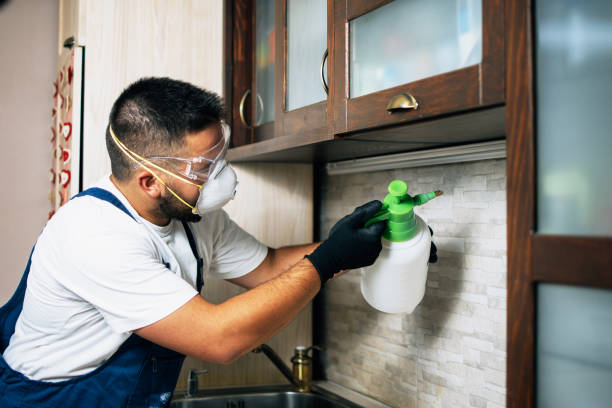 Best Bed Bug Extermination  in Moyie Springs, ID