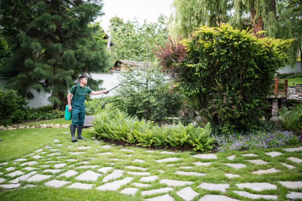 Best Pest Control Near Me  in Moyie Springs, ID