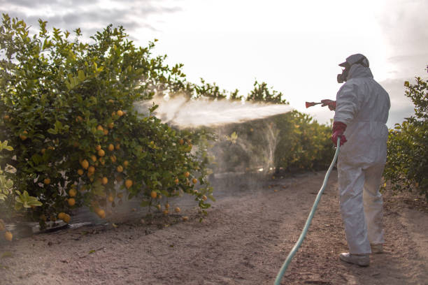 Best Cockroach Control Services  in Moyie Springs, ID