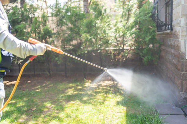 Reliable Moyie Springs, ID Pest Control Solutions