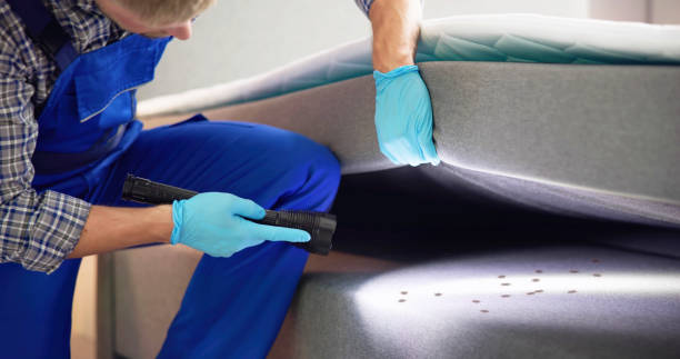 Best Commercial Pest Control Services  in Moyie Springs, ID