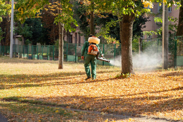 Best Emergency Pest Control  in Moyie Springs, ID