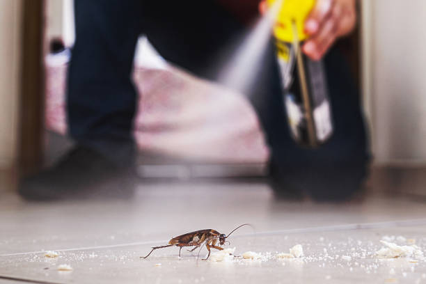 Moyie Springs, ID Pest Control Pros