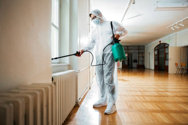 Best Pest Prevention Services  in Moyie Springs, ID
